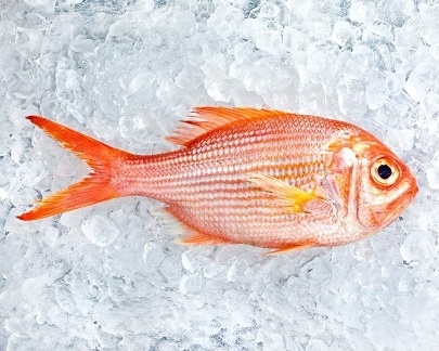Nannygai (Bight Redfish) Whole 1kg