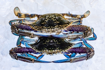 Crabs Blue Raw 500g