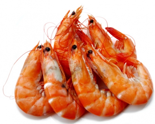 Cooked Large Tiger Prawns 16/20 1kg (Thawed)