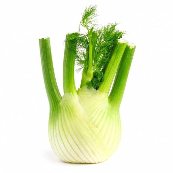 Organic Fennel Each