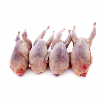 Quail Whole 6 Pack (Frozen)