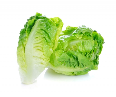 Organic Lettuce Cos Twin Pack