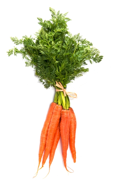 Organic Carrots Bunch