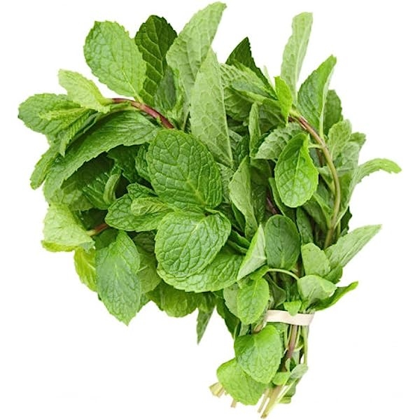 Organic Mint Bunch