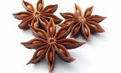 Bulk Foods Star Anise Whole 20g