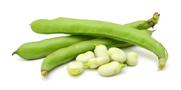 Broad Beans Loose 200g