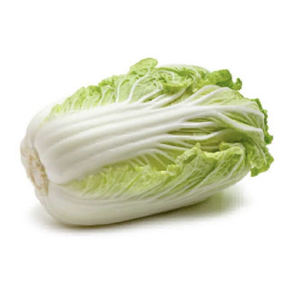 Chinese Cabbage Wombok Whole