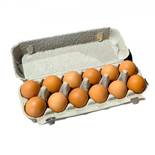 Temby's Farm Free Range Eggs 800g