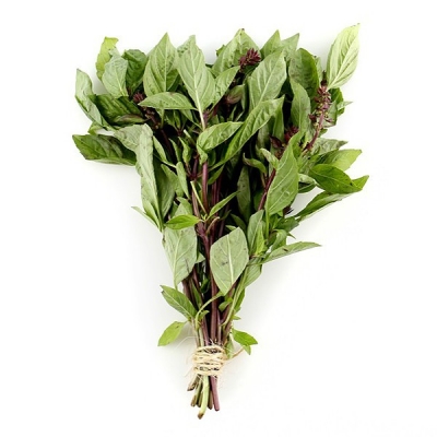 Thai Basil Bunch