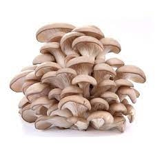 Mushrooms Oyster 400g