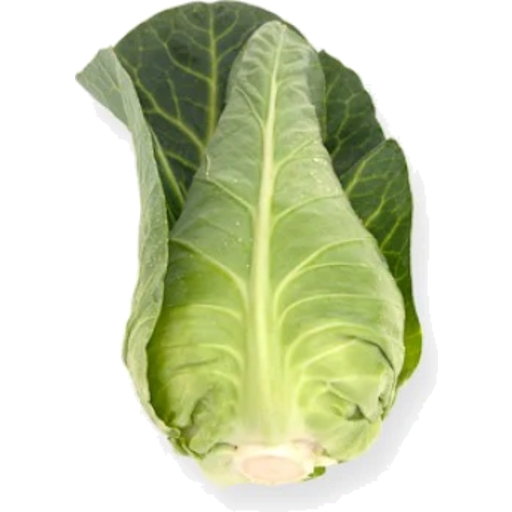 Baby Sugarloaf Cabbage Each