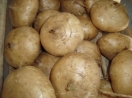 Beans Yam 250g