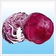 Cabbage Red Whole Each