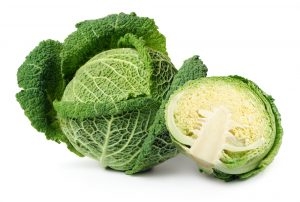 Cabbage Savoy Half