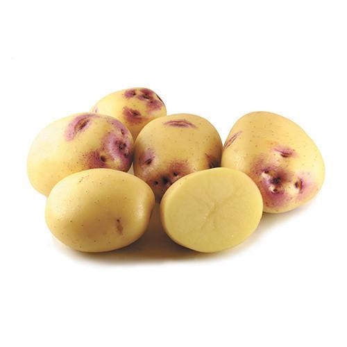 Potatoes Kestral Loose 1kg