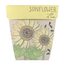 Sow 'n Sow Gift Of Seeds Sunflower