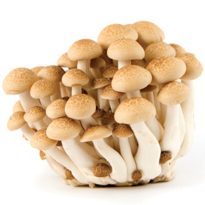 Mushrooms Shimeji 150g