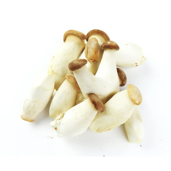 Mushrooms Mini King Oyster Pre Pack 250g