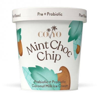 Coyo Organic Dairy Free Mint Choc Chip Ice Cream 500ml